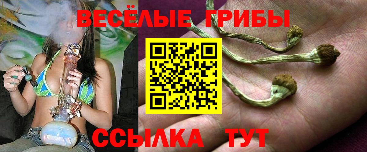 Галлюциногенные грибы Magic Shrooms  Вход с VPN  Галлюциногенные грибы прущие грибы  Оренбург 