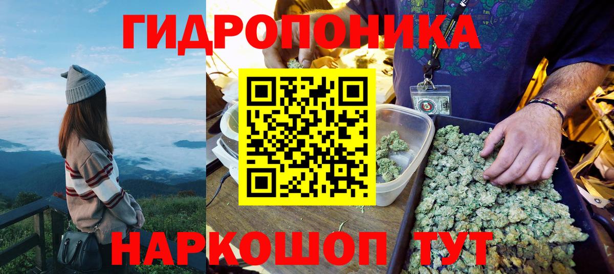 Бошки марихуана OG Kush  Вход с VPN  Шишки марихуана ГИДРОПОН  Оренбург  Каннабис план  Бошки марихуана конопля 